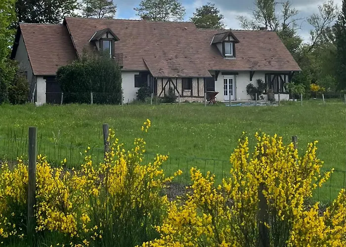 Oh ! Fleurs Des Champs