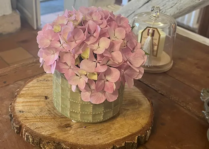 Oh ! Fleurs Des Champs