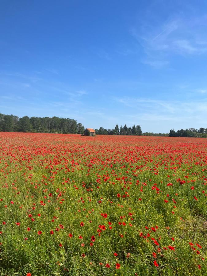 Oh ! Fleurs Des Champs Alojamento de Acomodação e Pequeno-almoço Chaumont-sur-Tharonne